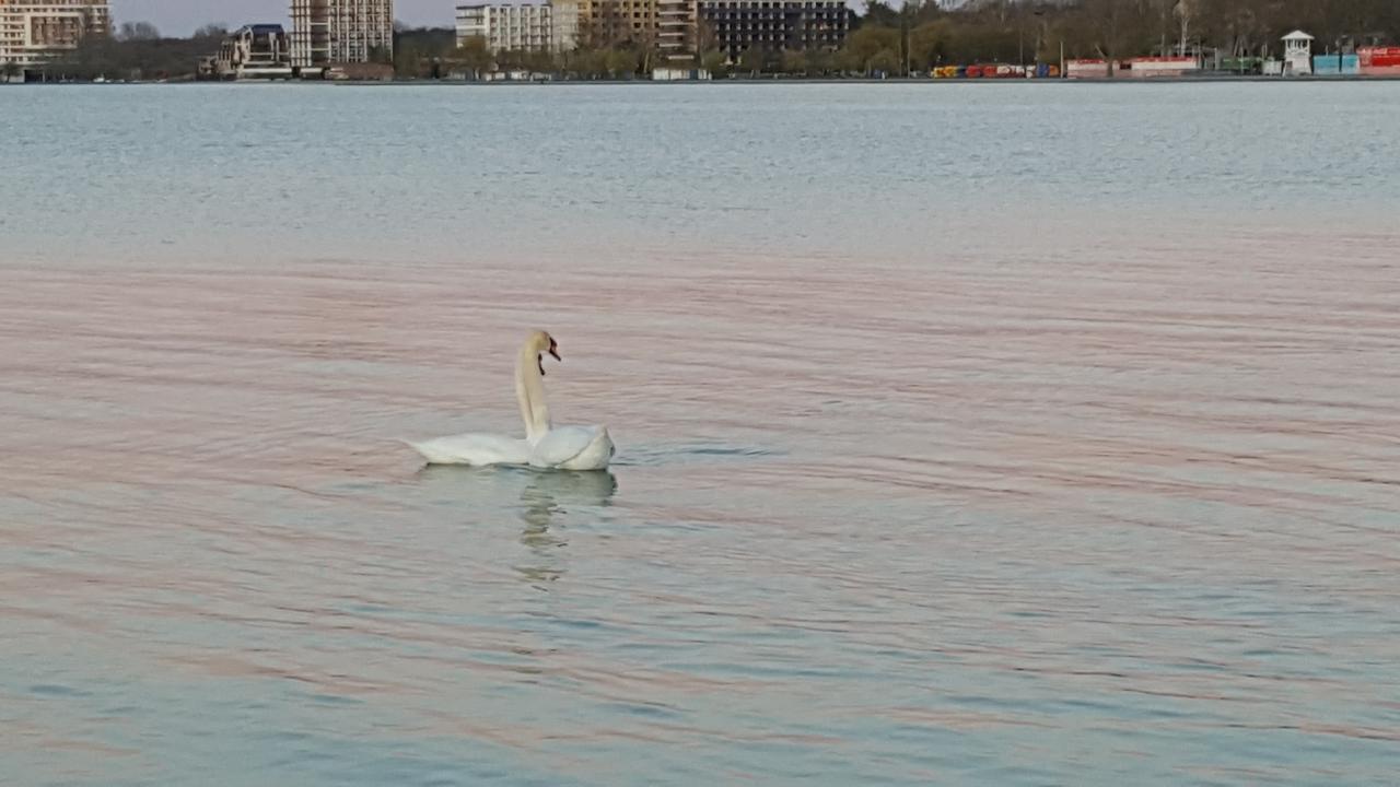 Balaton&Center Wellness Apartman シオーフォク エクステリア 写真